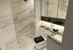 The Landmark (D3), Condominium #497910631